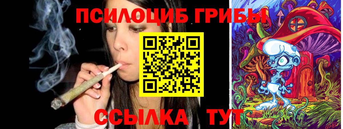 Псилоцибиновые грибы Psilocybe Татарск