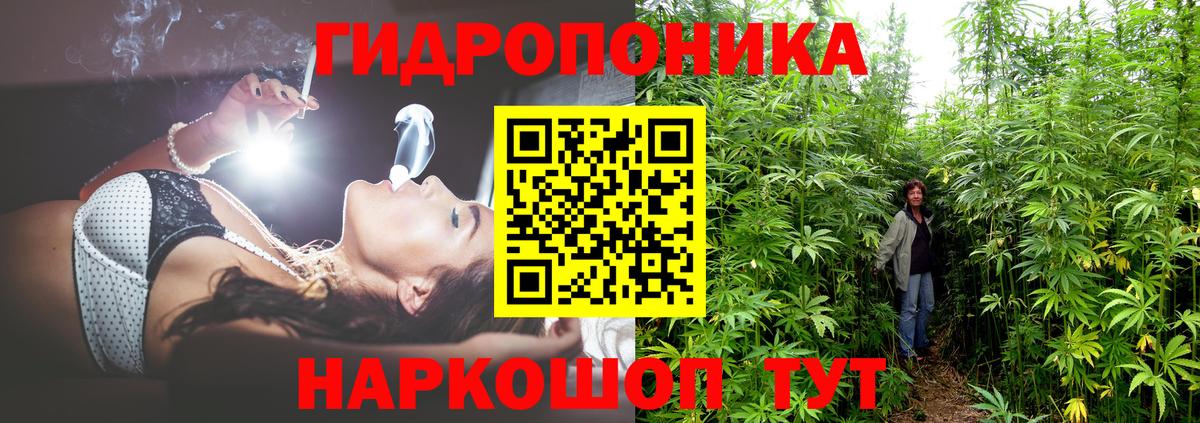 Конопля конопля Татарск